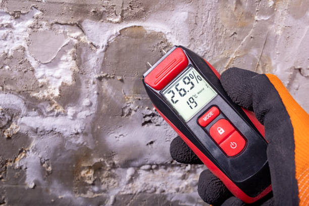 Best Health and Safety Mold Remediation in West Orange, TX