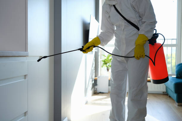 Best Attic Mold Remediation in West Orange, TX